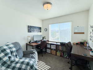 Home office featuring carpet flooring and a textured ceiling