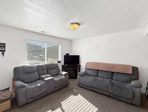 Carpeted living room with a textured ceiling