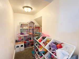 Recreation room featuring carpet floors and a textured ceiling