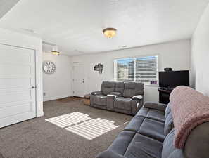 Carpeted living room with a textured ceiling and baseboards