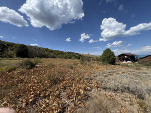 View of local wilderness with rural landscape
