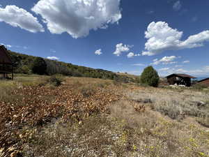 View of undeveloped land featuring rural landscape