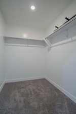 Spacious closet featuring dark carpet