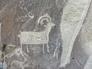 Detailed view