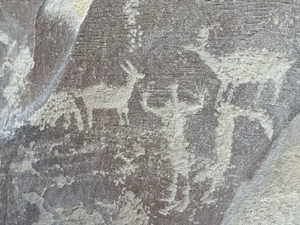 Detailed view