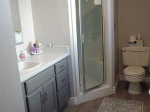 Primary Bathroom featuring vanity, light wood finished floors, and a stall shower
