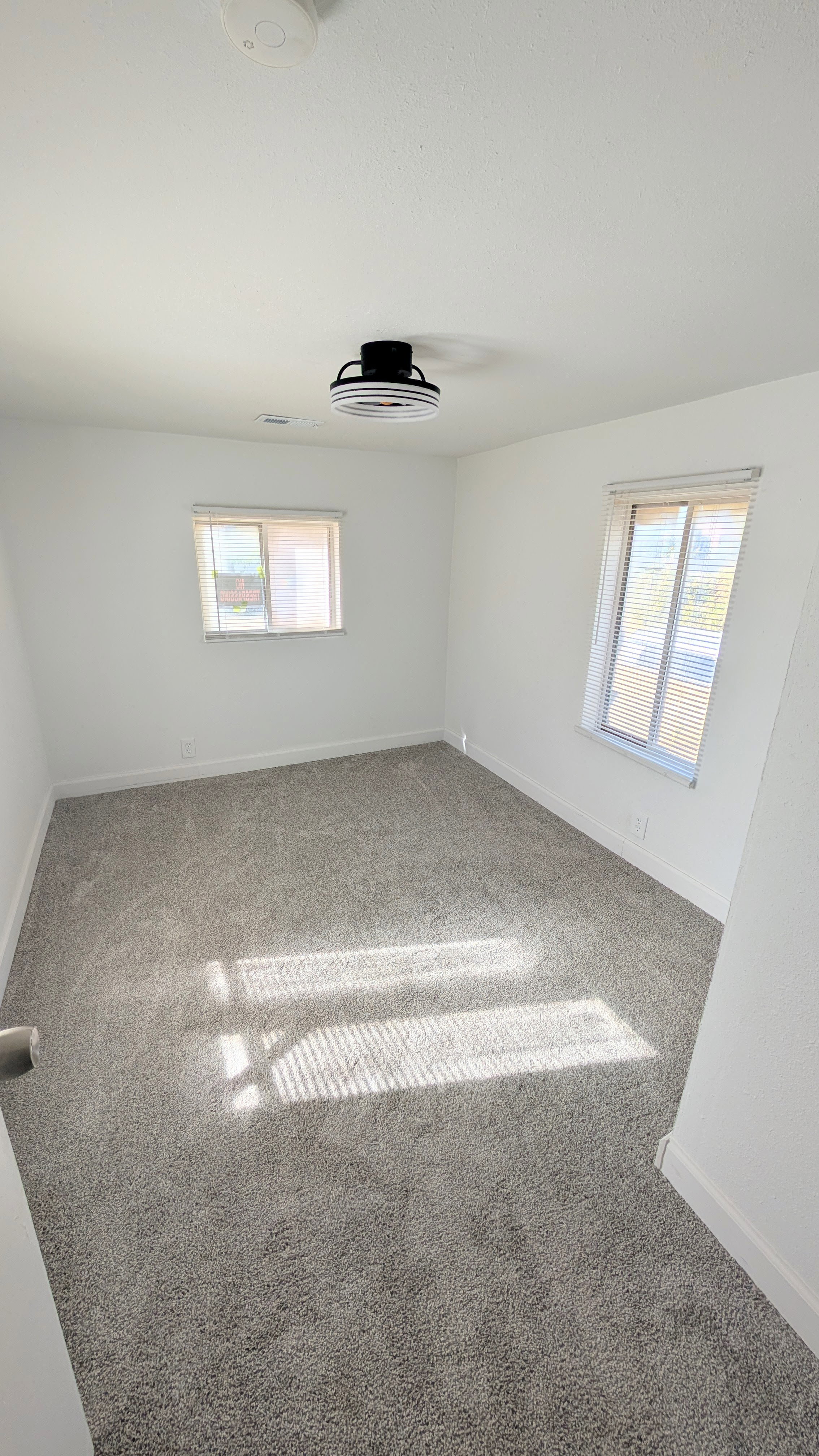 Empty room with carpet and plenty of natural light