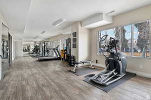 Workout area featuring light wood-style flooring