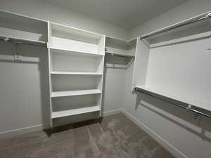 Walk in closet with dark carpet