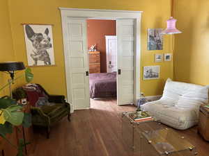 Pocket doors between living room and bedroom