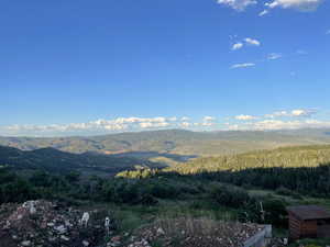 Mountain view featuring a forest