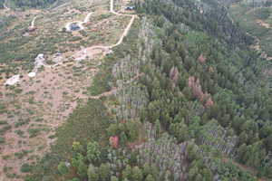 View of property location