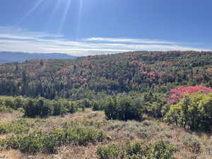 View of mountain background featuring a forest