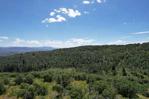View of mountain background featuring a forest