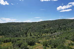 Drone / aerial view of a heavily wooded area