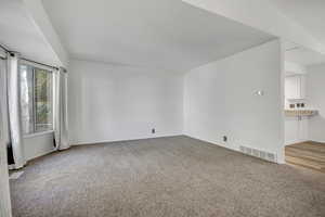 Unfurnished room with light carpet