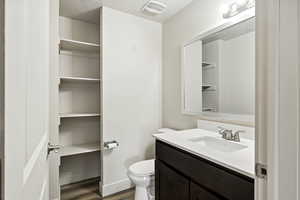 Bathroom with vanity, dark wood-style floors, a textured ceiling, and a closet