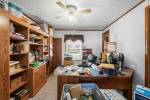 Office featuring ornamental molding, a ceiling fan, light colored carpet, and a textured ceiling