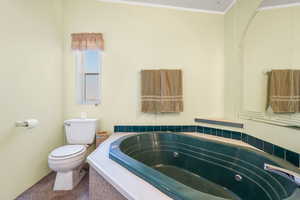 Full bathroom with a tub with jets and ornamental molding