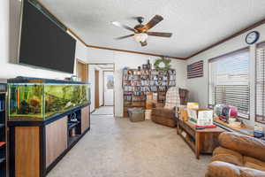 Living room featuring light colored carpet, ornamental molding, a textured ceiling, and a ceiling fan