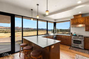 Kitchen featuring dark countertops, light wood-style floors, pendant lighting, a kitchen breakfast bar, and stainless steel appliances