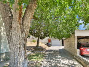 East view of right of way easement, up driveway, to carport (not pictured) from J Street