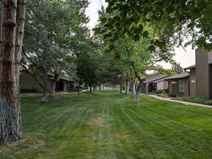 View of grassy yard