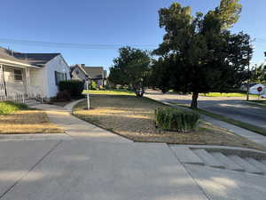 View of front yard