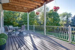 Lower level deac with outdoor dining space