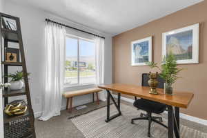 Office space featuring light colored carpet, a textured ceiling, and a mountain view
