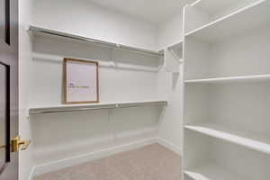 Spacious closet with light carpet