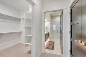 Walk in closet with light colored carpet