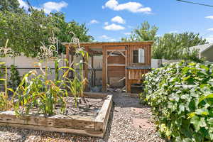 View of chicken coop with and a vegetable garden