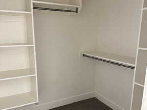 Spacious walk in closet