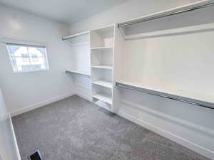 Spacious closet with light carpet