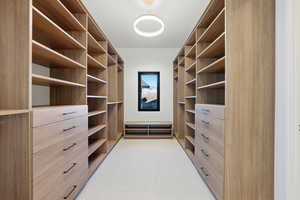 Spacious closet featuring light carpet