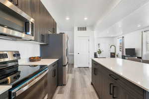 Kitchen with stainless steel appliances, dark brown cabinetry, modern cabinets, light wood-style floors, and recessed lighting