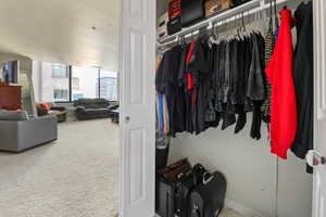 View of primary closet