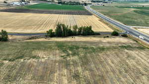 View of rural area with rows of crops
