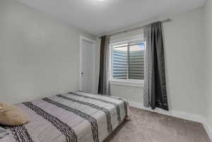 Basement bedroom with walk-in closet