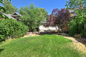 View of grassy yard
