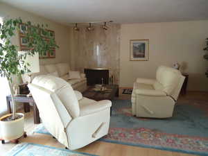 Living area featuring wood finished floors and track lighting