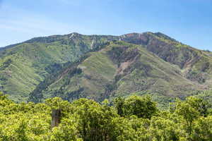 View of mountain background from lot