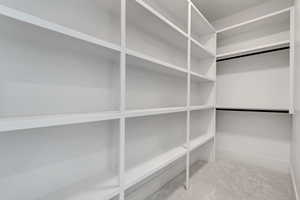 Walk in closet with light colored carpet