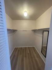 Walk in closet featuring dark wood-style flooring