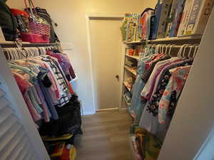 Spacious closet with dark wood finished floors