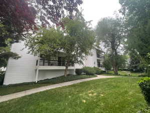 View of community featuring a yard