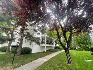 Surrounding community featuring a yard