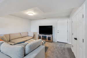 Basement living room