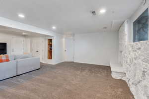 Basement living room